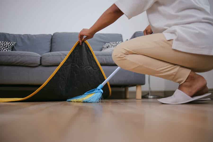 Regular Cleaning